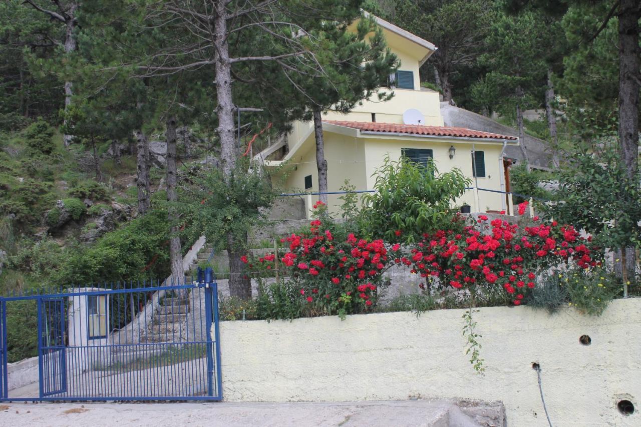 Eagle'S Nest Palase Exterior foto